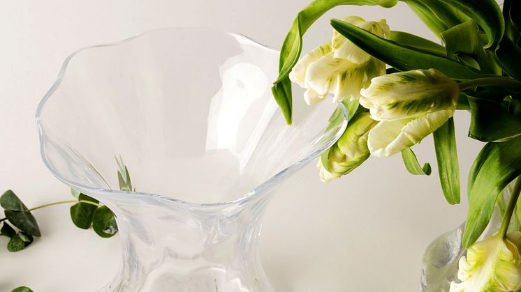 TULPE_SIRIBOEKHOUT_3