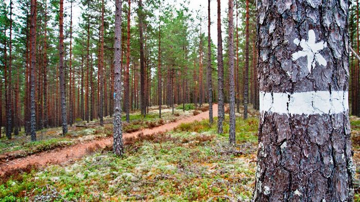 Miljoner till naturvård i Värmland
