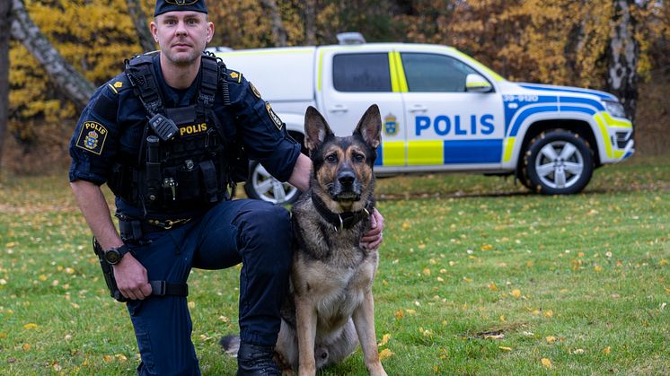 Årets polishund 2020