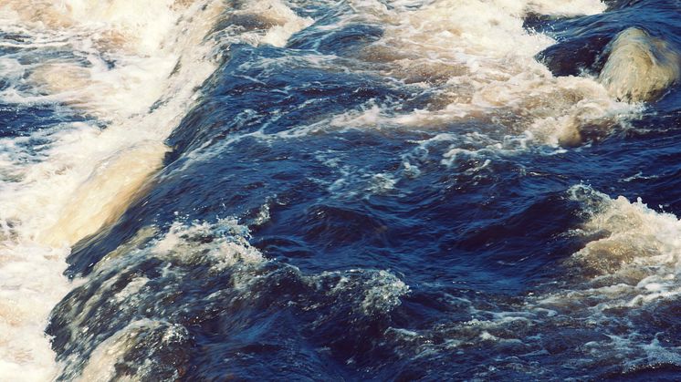 HaV ger 2,5 miljoner kronor till laxprojekt vid Stornorrfors