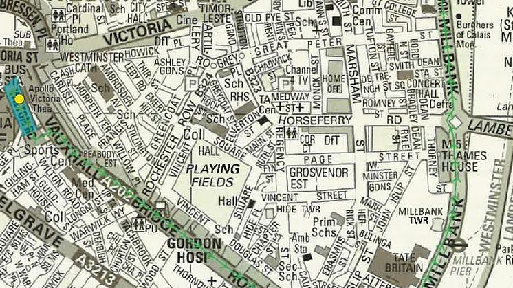Tommy Robinson protest route.jpg