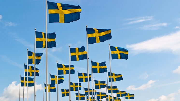 Svenska flaggor_16069990-svenska-flaggor