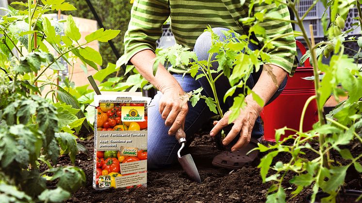 Azet Fertilizante Tomates_1kg_ES_IT_2034_1100000675_2-JPG 300DPI 2000 Pixel.jpg