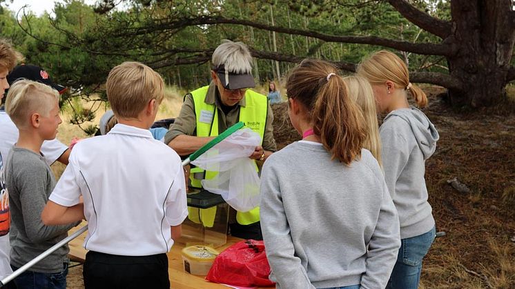 Håvning vid Naturpedagogiska dagarna 2018. Foto - Anette Barr..jpg