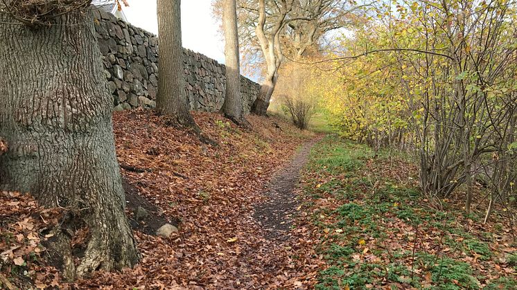 Skytteskogen