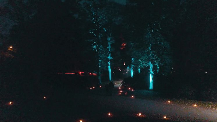 Ljusstämning på Sofiero