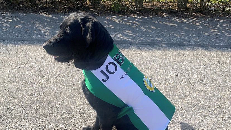 Hundjackan.png