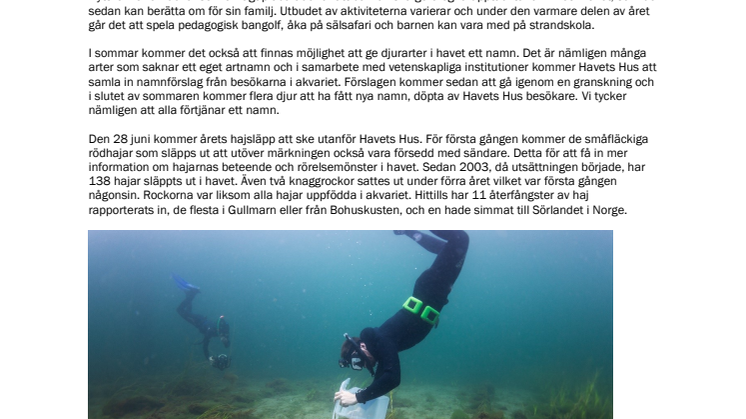 220408 Havets Hus - livet under ytan.pdf