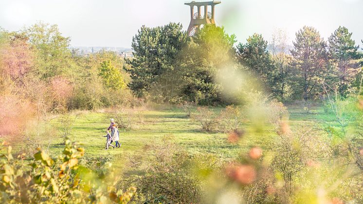 2019_Halde Pluto_Ruhr&Natur_Herbst_HER_Dennis Stratmann (85)