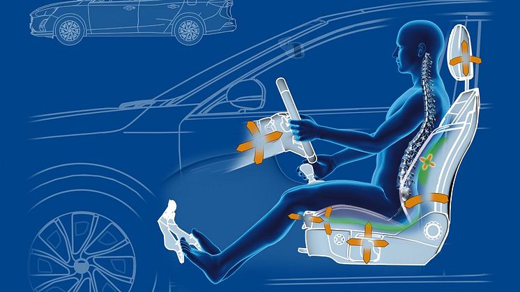 Ford Focus hædres for sine smerteforebyggende sæder