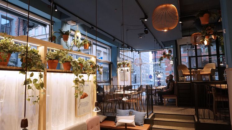 ​Waynes Coffee launches new concept – and gets a new look
