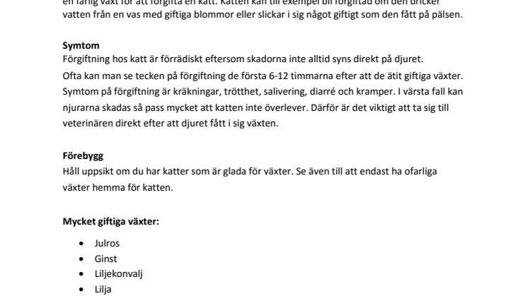 Farliga växter för katten 