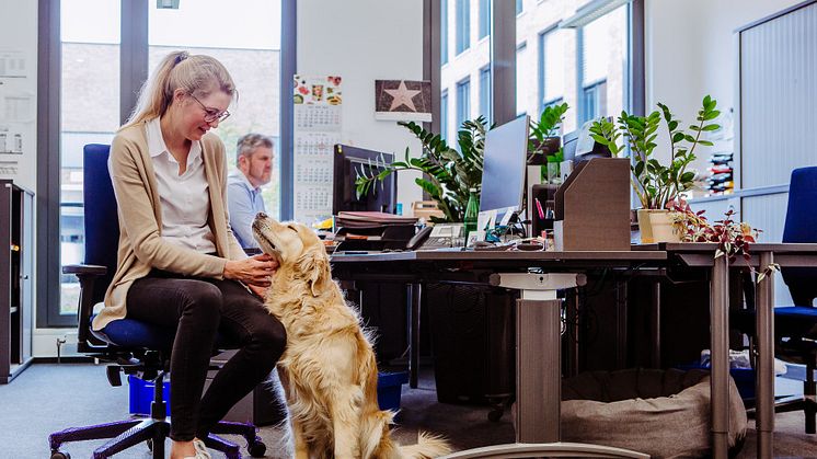 #MeinTierbleibtbeimir: Bei Fressnapf sind Bürohunde seit jeher herzlich willkommen. Schon vor der Pandemie "arbeiteten" rund 20 Hunde Tag für Tag in der Zentrale.  Foto: Fressnapf Holding SE/Yvonne Ploenes