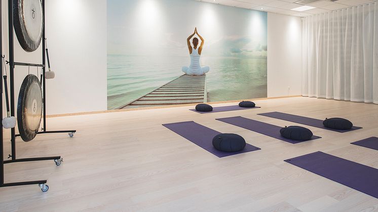 Holistics yogasal