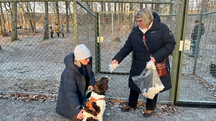 Marianne Fröding, samordnare på Karlstads kommun, delar ut godis till hunden Duke och matte Christel Nilsson som var med och premiärtestade den nya hundrastgården.