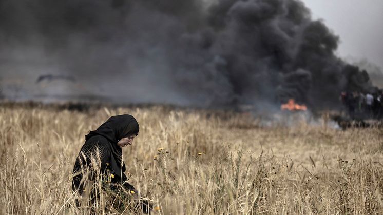 Bild: Bildjournalisten Paul Hansen från Gaza 