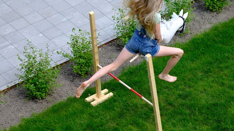 Kæphesteridning hitter på rideskoler landet over