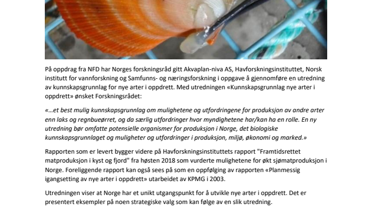 Ny rapport: evaluering av nye oppdrettsarter