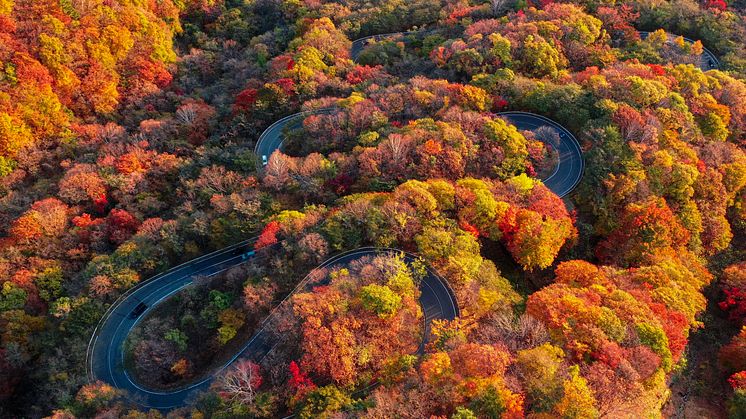 Irohazaka Road in Nikko is a must visit for cyclists