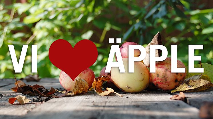 Nu öppnar äppelmottagningen i Herrljunga