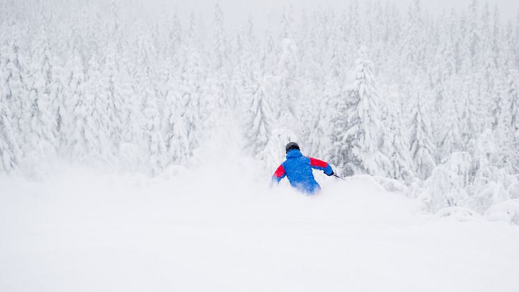 Över 135 cm nysnö i Åre, Sälen, Vemdalen, Trysil och Hemsedal