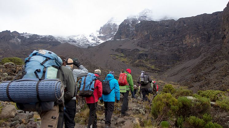 Kilimanjaro- Foto: Shutterstock