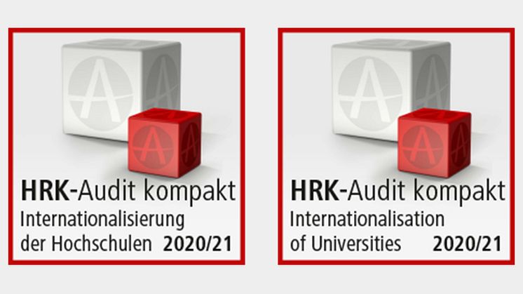 Audit.jpg