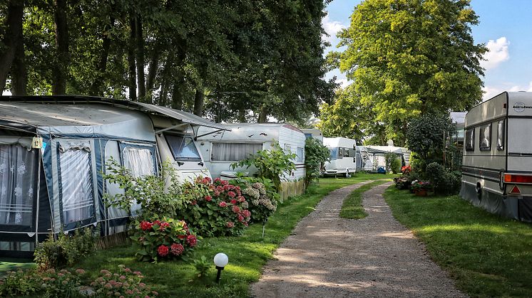Der Weg zur kleinen Badestelle bei Blütencamping Riegelspitze im Havelland. Foto: Blütencamping Riegelspitze. 