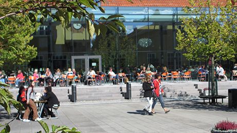 Allt fler väljer Högskolan Kristianstad först