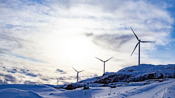 Høyesterett: Vindkraftutbyggingen på Fosen krenker urfolks menneskerettigheter