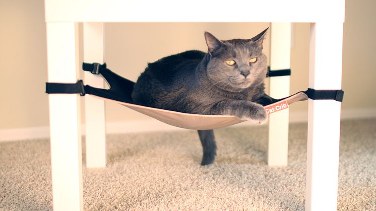 CatCrib, miljö1