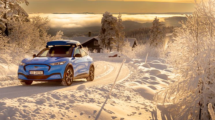 Ford Mustang Mach-E Vinter 2022