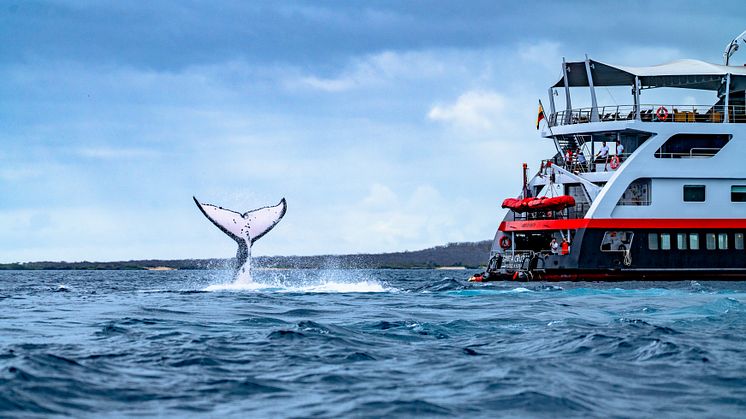 Galápagos_EdenIslet_HGR165186_AndresBallesteros.JPG
