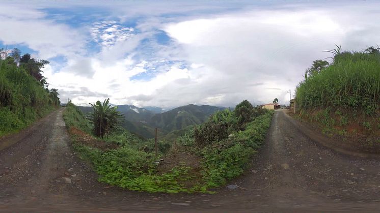Löfbergs VR – This is where the coffee of the future grows