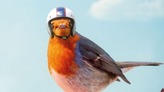 "We could have made millions of tiny crash helmets. Instead we created Pilkington AviSafe™."