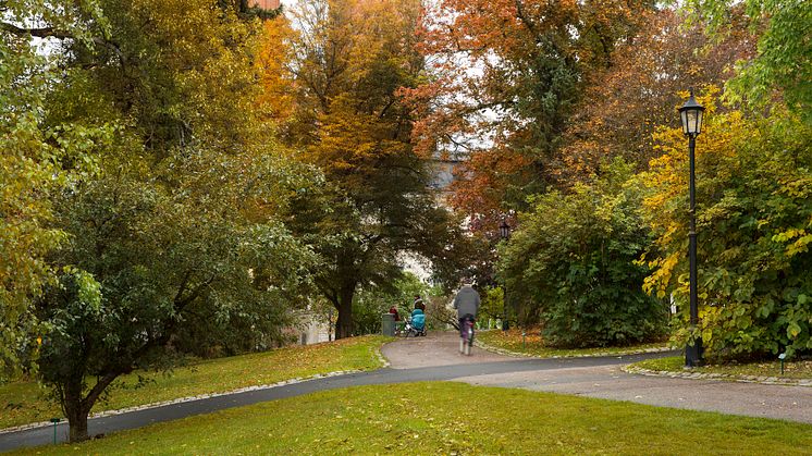 Universitetsparken i Uppsala är till salu för 20 000 kronor