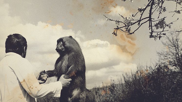 Påminnelse Pressvisning - Joan Fontcuberta