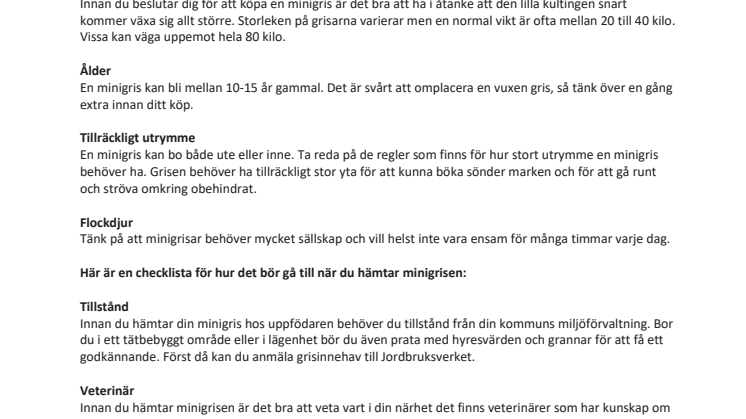 Drömmer du om en minigris?