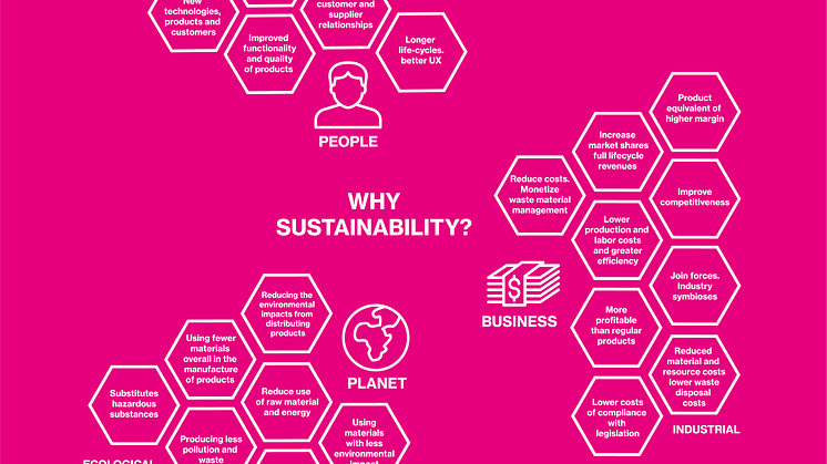 Infografik: Why sustainability?