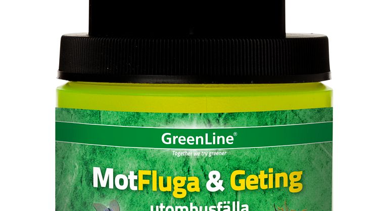 Mot Flue og Veps