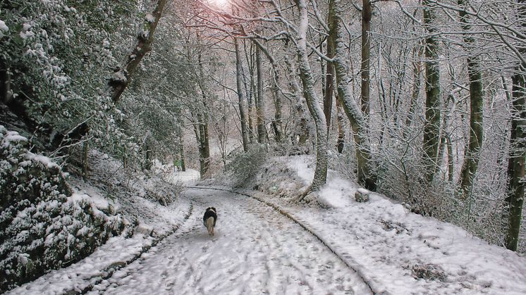 ‘Tis the season to get your official 2018 Bury calendar