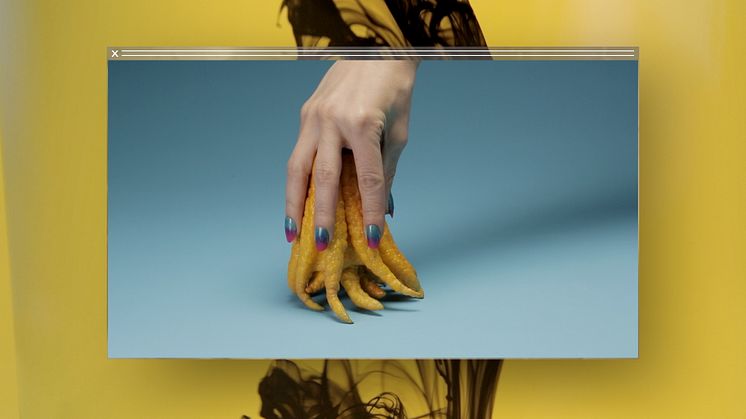 Camille Henrot, Still from Grosse Fatigue (2013)  © ADAGP Camille Henrot. Courtesy of the artist, Silex Films and kamel mennour, Paris/London