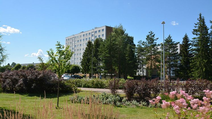 Sommerdag på Stovner. Foto: Sarah Frederikke Pierstorff, Oslo Kommune