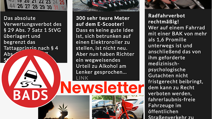 Zweiter BADS-Newsletter abrufbar