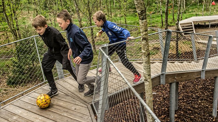 Nur möglich mit dem richtigen Material: Tragende Konstruktionen aus Holz 