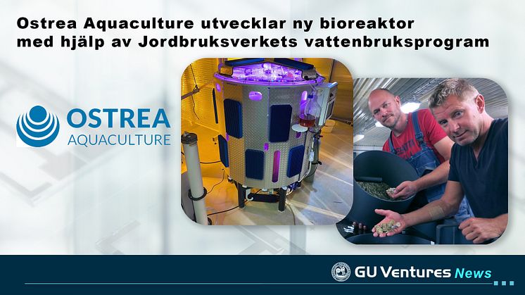 Ostrea Aquaculture utvecklar ny bioreaktor  med hjälp av Jordbruksverkets vattenbruksprogram