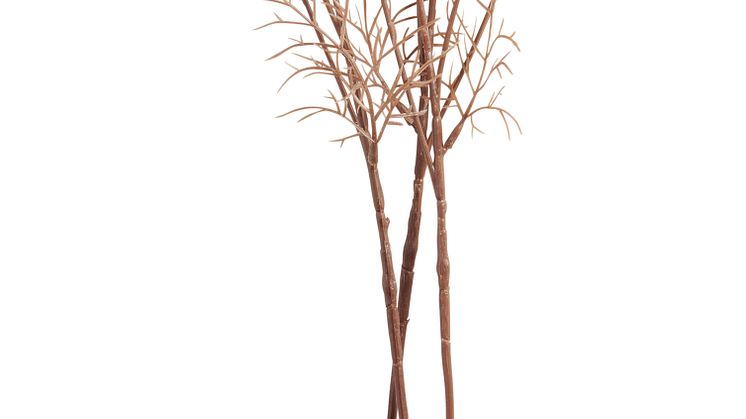 NYHET! Twig Cosmos 66 cm Wine red 2,99 EUR.jpg