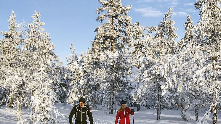 Skiturer i Oslomarka