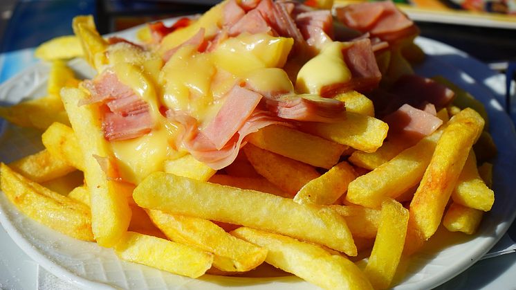 french-fries-g5a27c045f_1920