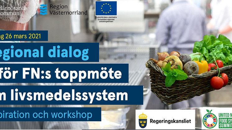 26 mars är Härnösands kommun värd för den regionala dialogen inför FN-toppmötet i september.